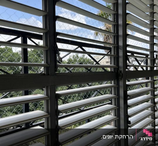 התקנת רשת שקופה נגד יונים בחלון תריסי שלבים במסתור כביסה